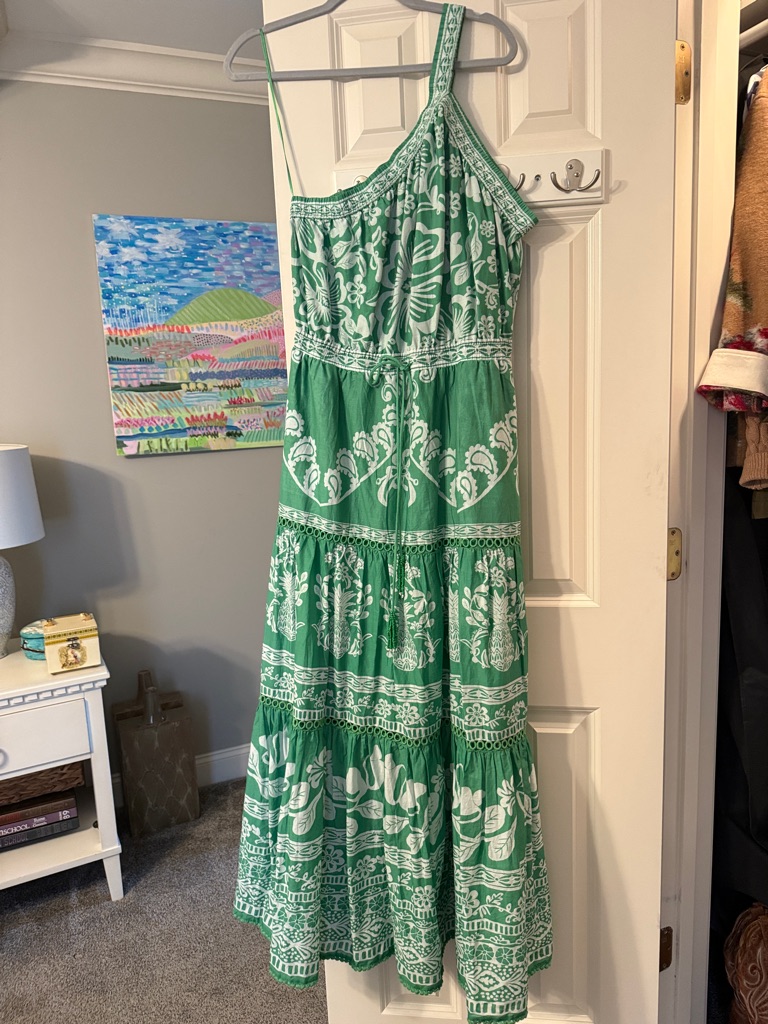 Nwt Farm Rio Sweet Garden Green Maxi Dress Large